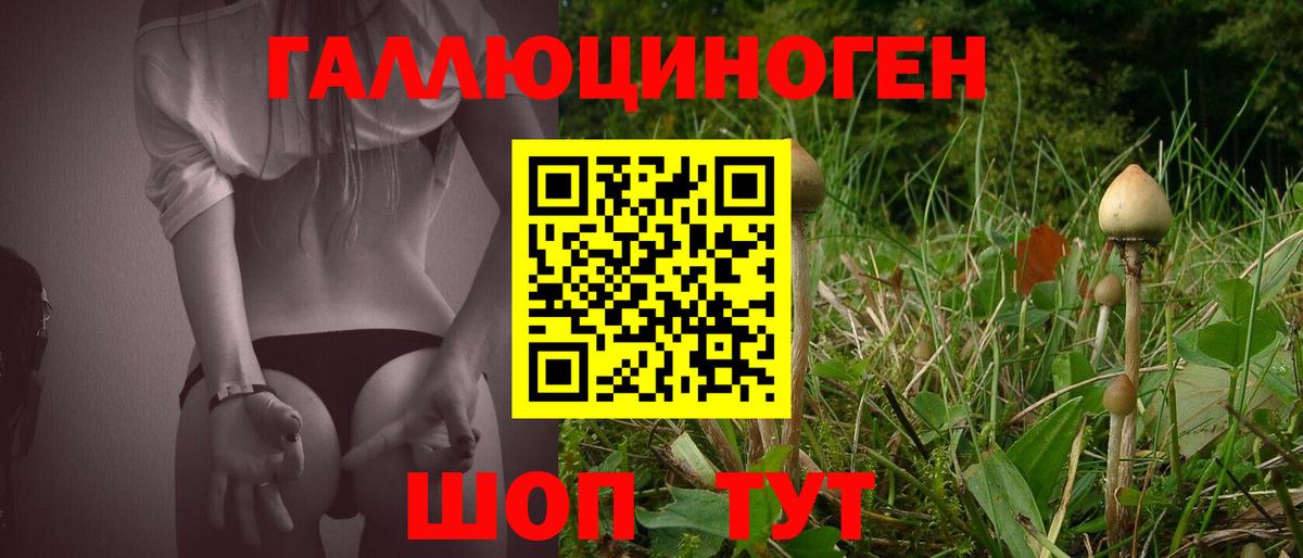 Псилоцибиновые грибы Magic Shrooms Елец