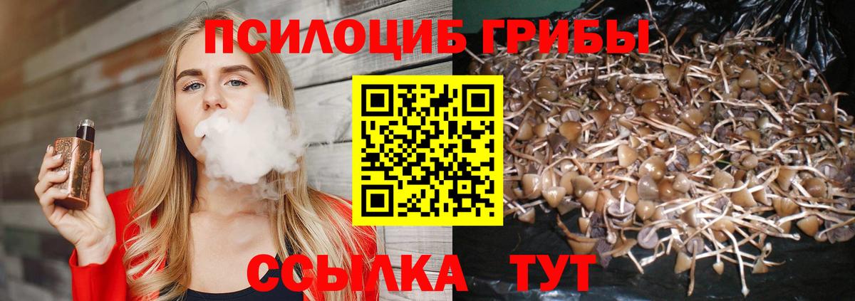 Галлюциногенные грибы MAGIC MUSHROOMS  Вход с VPN  Елец 