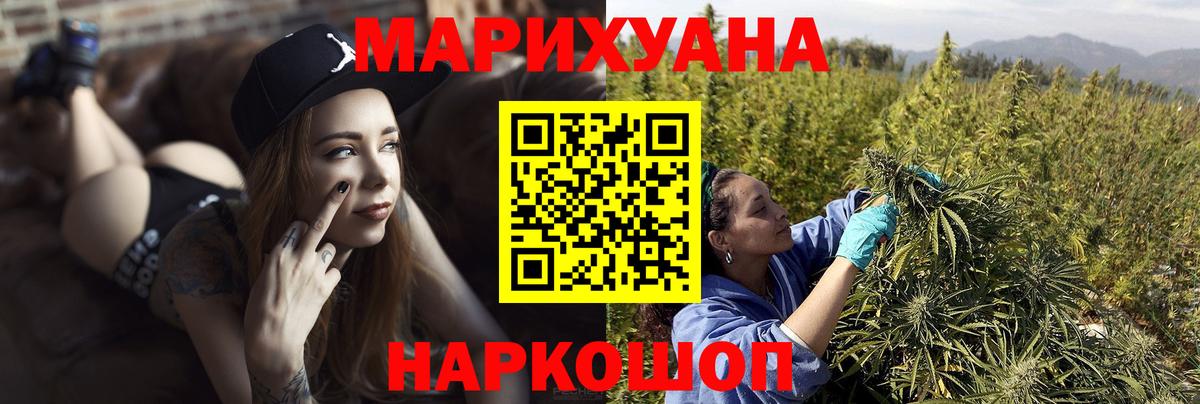 Марихуана сатива Елец